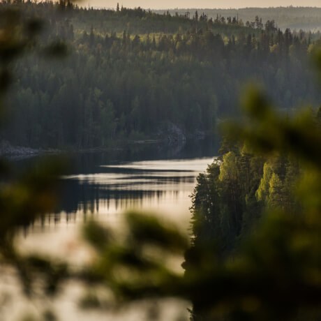 Фото. Вид на лес и озеро на закате.